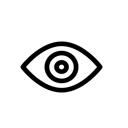 Vision Icon